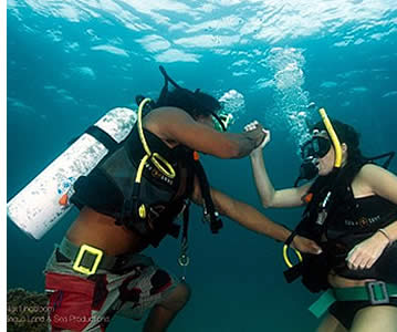 The theoritical part in scuba diving is very important as well